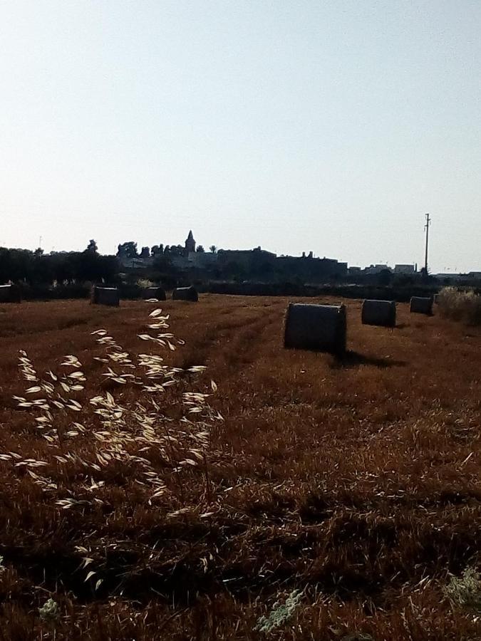 مبيت وإفطار كاسترينيانو دل كابو Cortile Calinea المظهر الخارجي الصورة