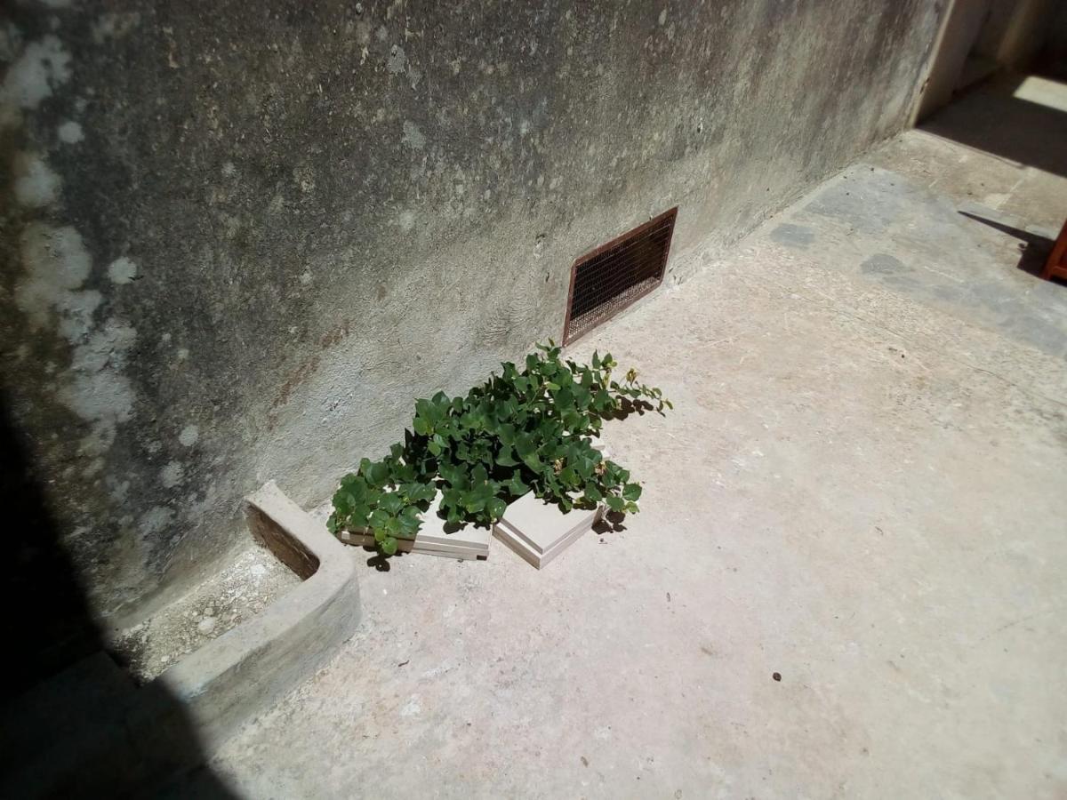 مبيت وإفطار كاسترينيانو دل كابو Cortile Calinea المظهر الخارجي الصورة