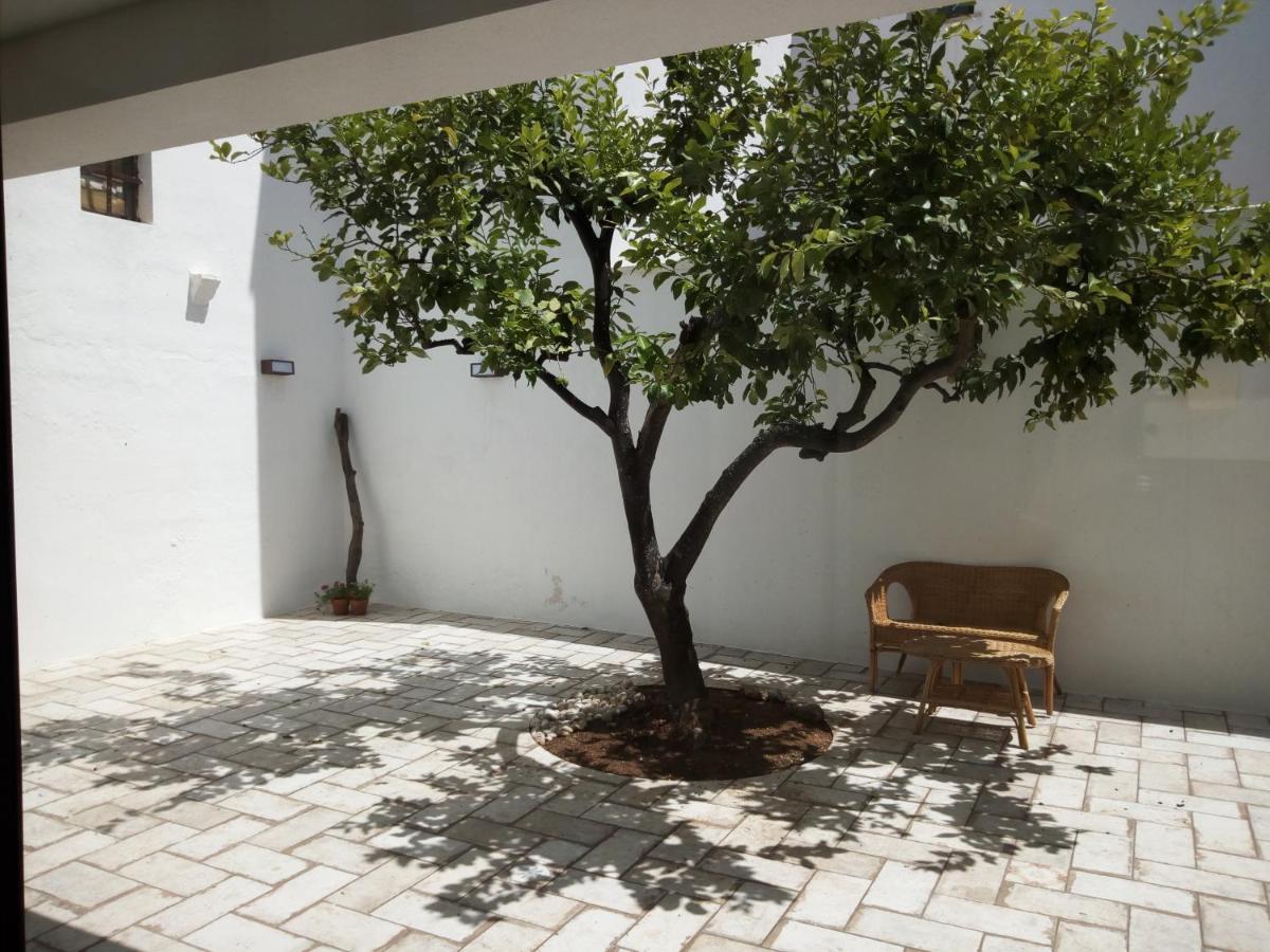 مبيت وإفطار كاسترينيانو دل كابو Cortile Calinea المظهر الخارجي الصورة